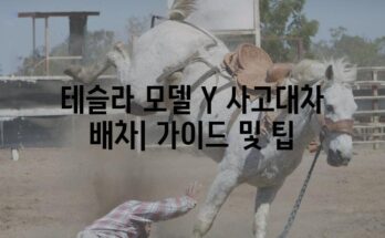 테슬라 모델 Y 사고대차 배차| 가이드 및 팁