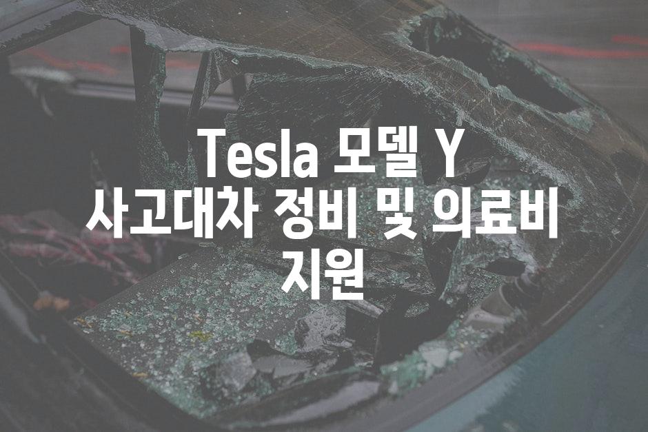  Tesla 모델 Y 사고대차 정비 및 의료비 지원