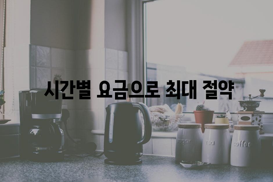  시간별 요금으로 최대 절약