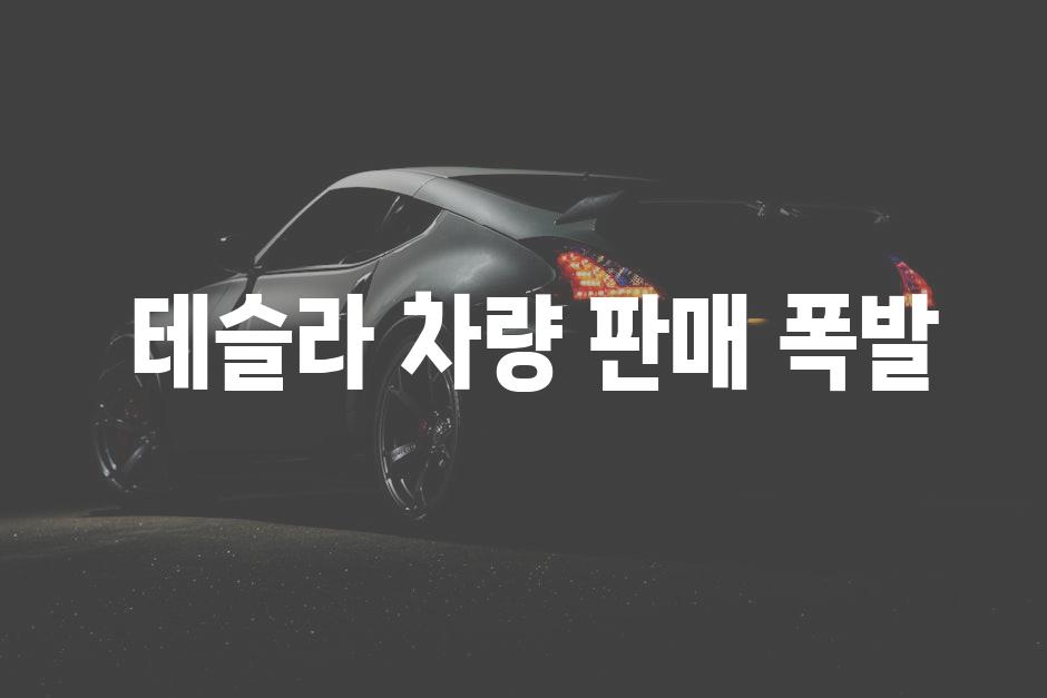  테슬라 차량 판매 폭발