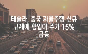 테슬라, 중국 자율주행 신규 규제에 힘입어 주가 15% 급등