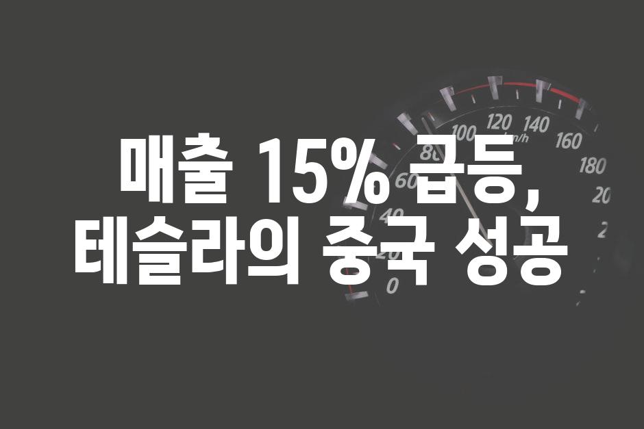  매출 15% 급등, 테슬라의 중국 성공