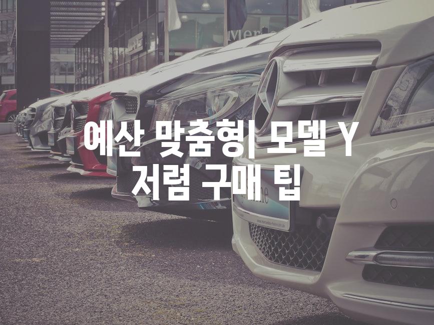  예산 맞춤형| 모델 Y 저렴 구매 팁