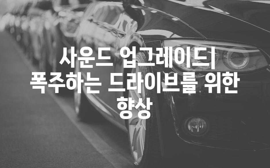  사운드 업그레이드| 폭주하는 드라이브를 위한 향상