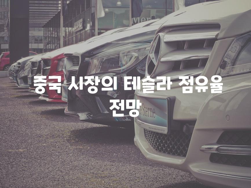  중국 시장의 테슬라 점유율 전망