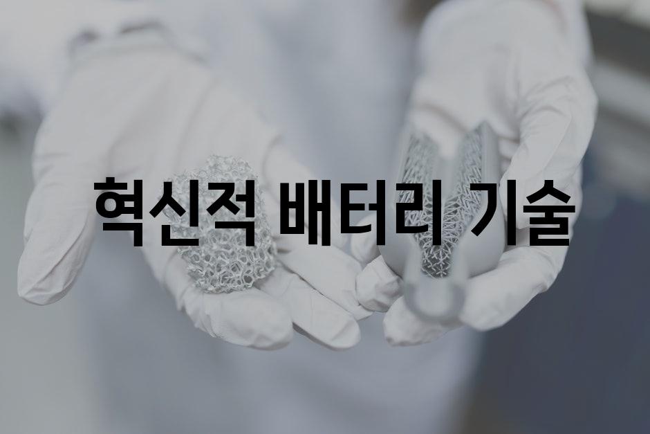  혁신적 배터리 기술