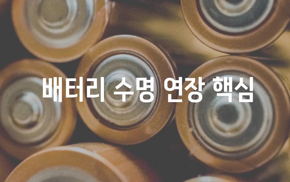  배터리 수명 연장 핵심