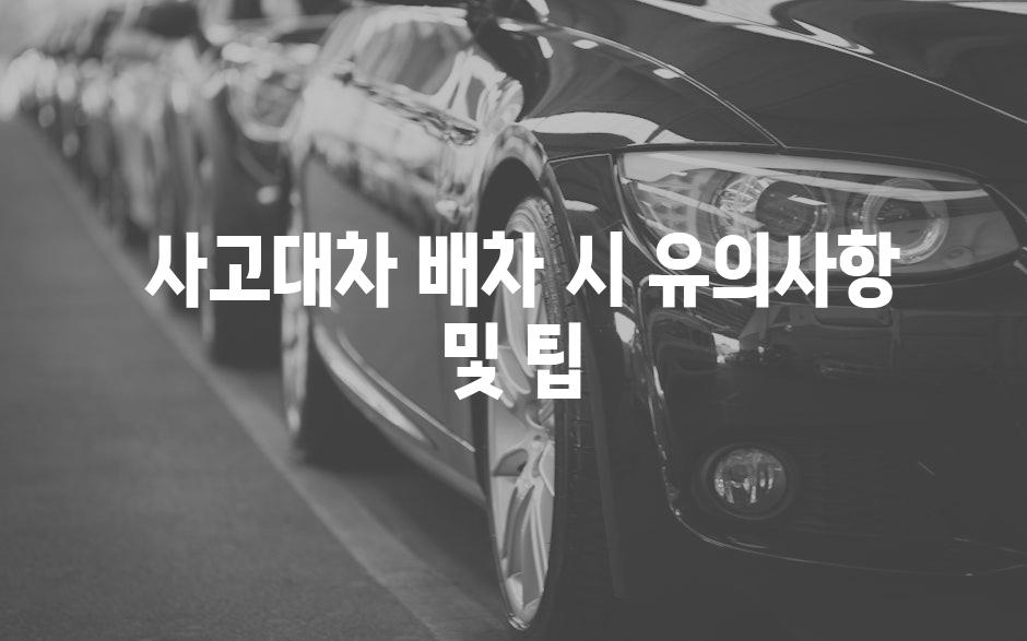  사고대차 배차 시 유의사항 및 팁