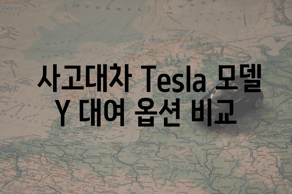  사고대차 Tesla 모델 Y 대여 옵션 비교