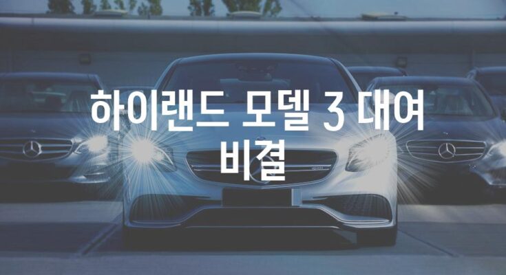 테슬라 모델 3 하이랜드 즉시 대여| 가이드 및 팁