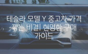 테슬라 모델 Y 중고차 가격 깎는 비결| 현명한 구매 가이드