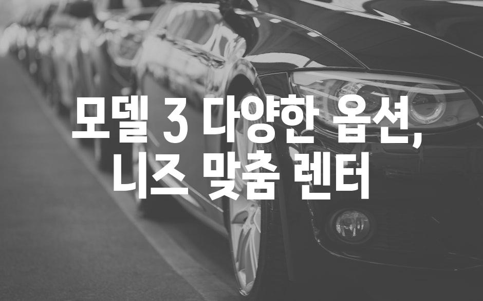  모델 3 다양한 옵션, 니즈 맞춤 렌터