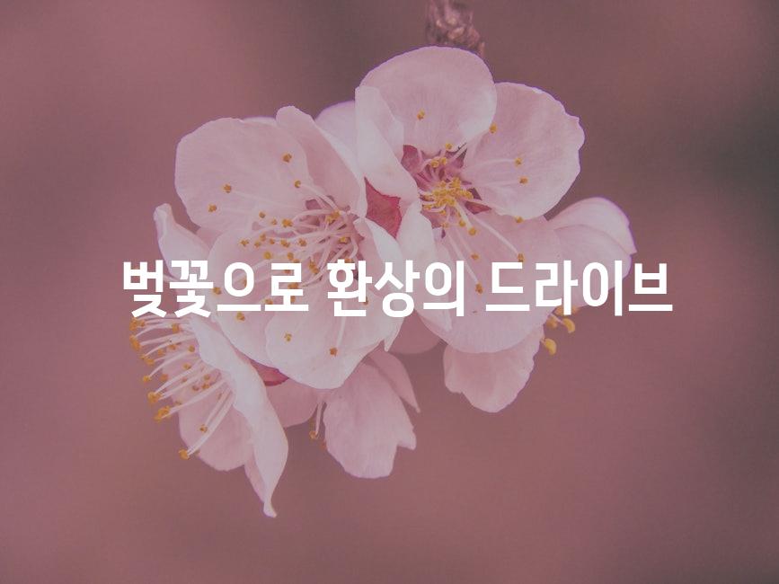  벚꽃으로 환상의 드라이브