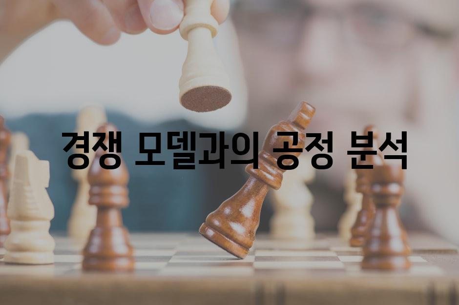  경쟁 모델과의 공정 분석