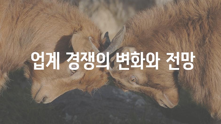  업계 경쟁의 변화와 전망