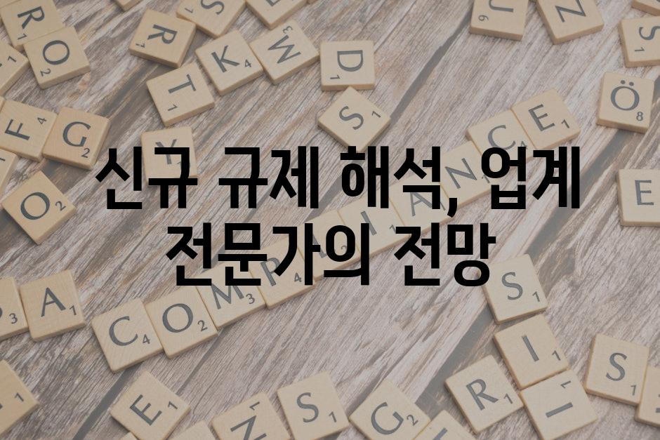  신규 규제 해석, 업계 전문가의 전망