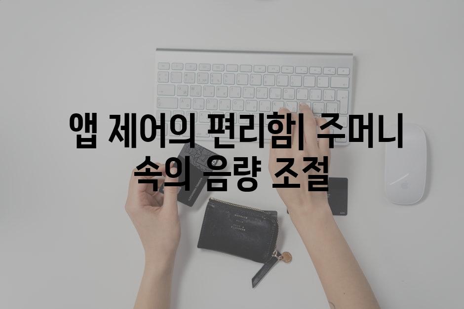  앱 제어의 편리함| 주머니 속의 음량 조절