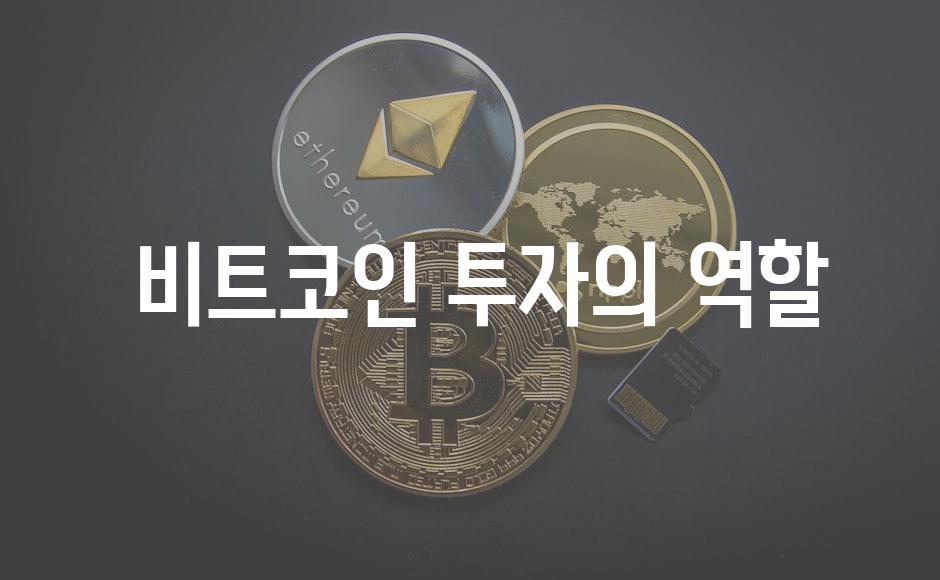  비트코인 투자의 역할