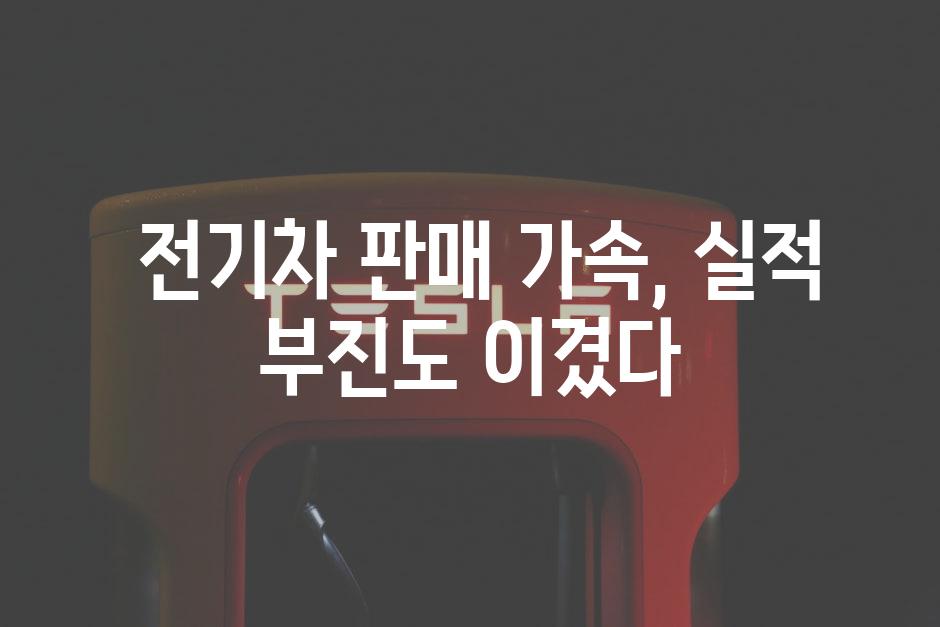  전기차 판매 가속, 실적 부진도 이겼다