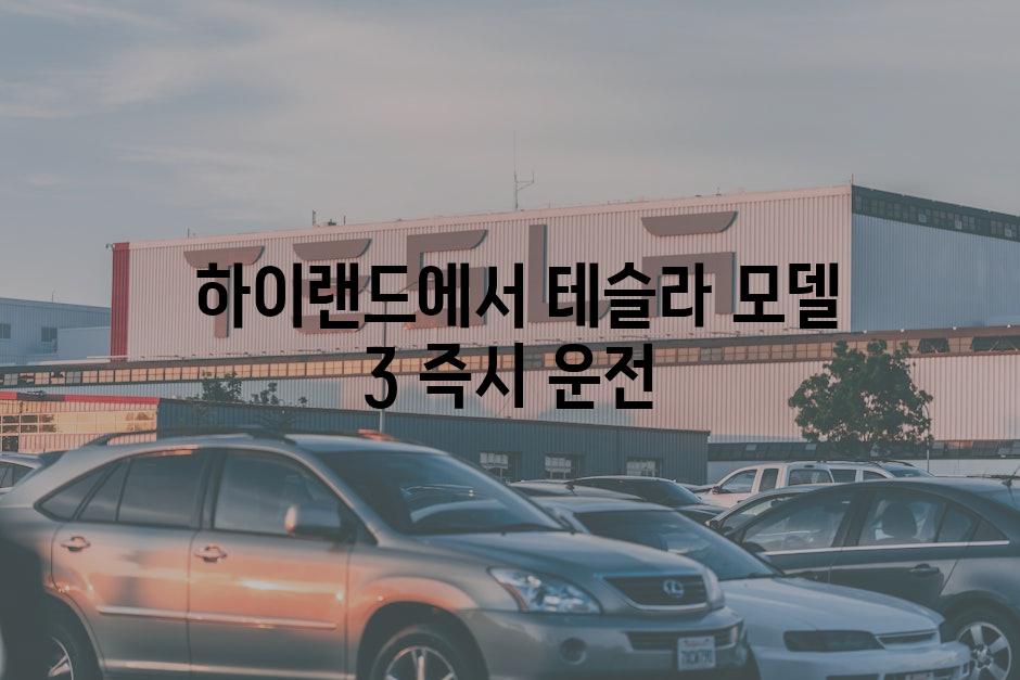  하이랜드에서 테슬라 모델 3 즉시 운전