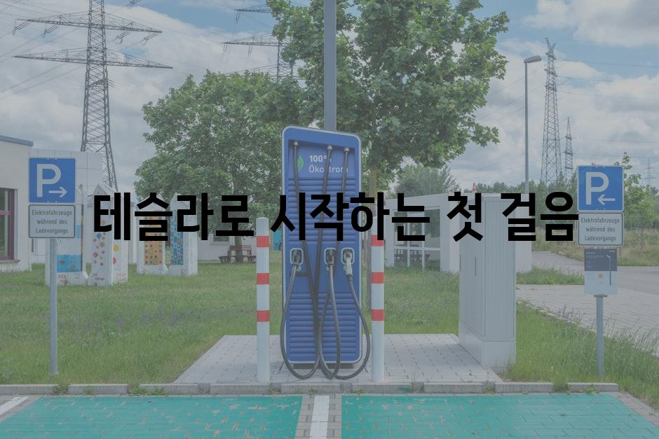  테슬라로 시작하는 첫 걸음