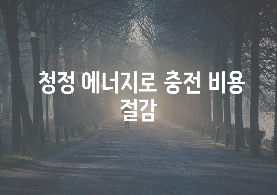  청정 에너지로 충전 비용 절감