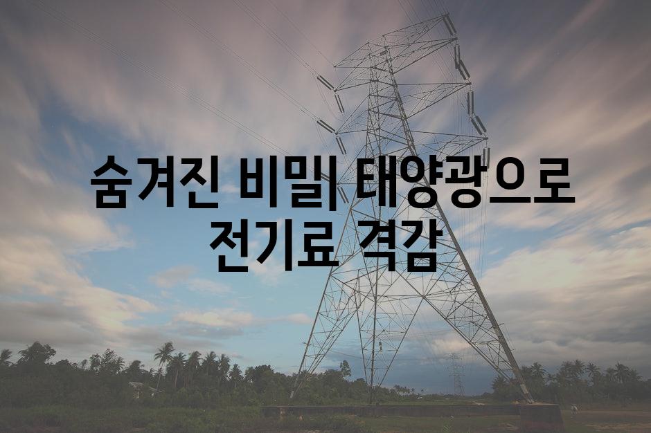  숨겨진 비밀| 태양광으로 전기료 격감