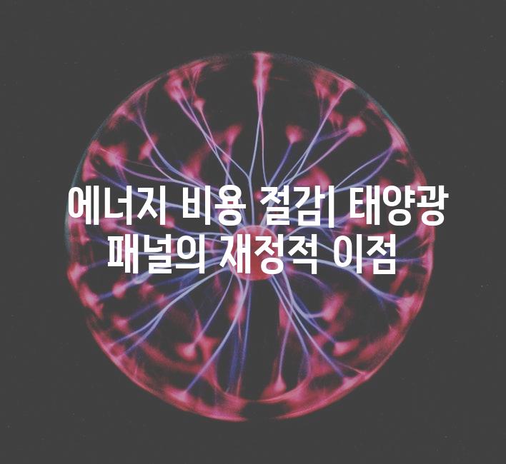  에너지 비용 절감| 태양광 패널의 재정적 이점