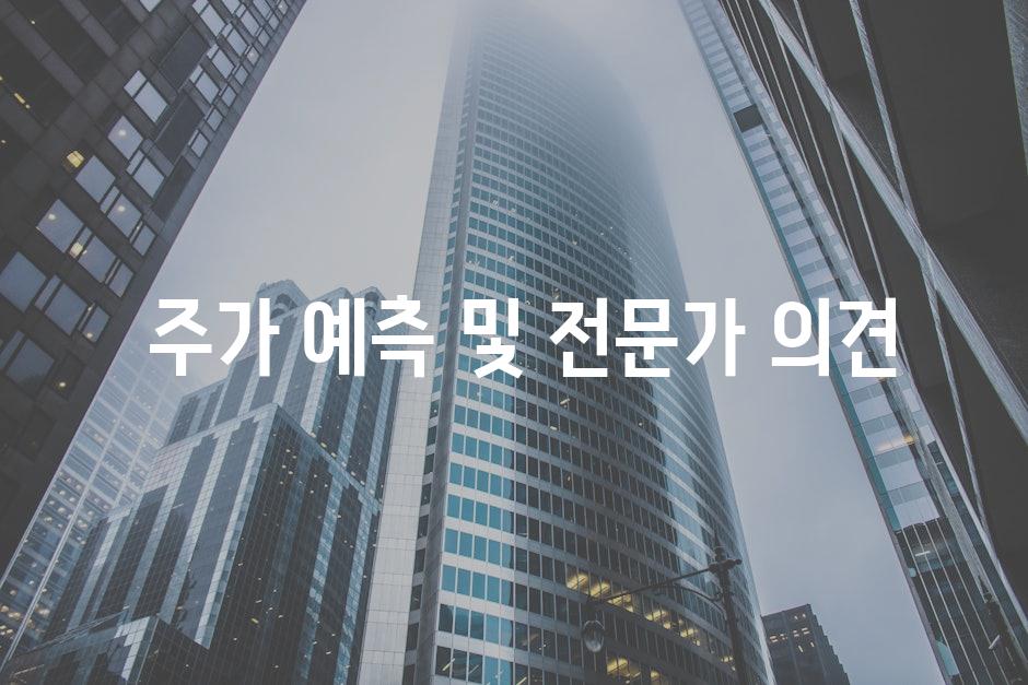  주가 예측 및 전문가 의견