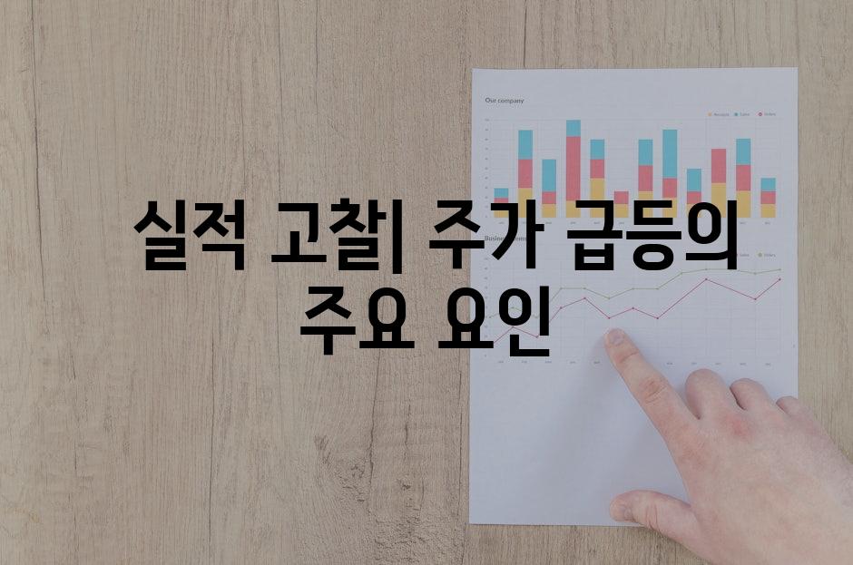  실적 고찰| 주가 급등의 주요 요인