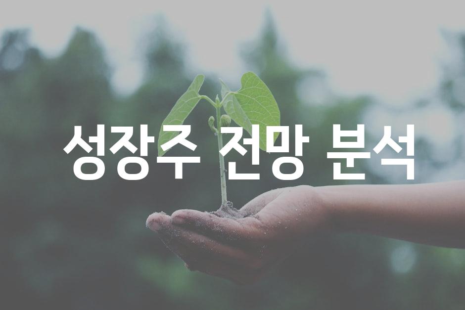  성장주 전망 분석