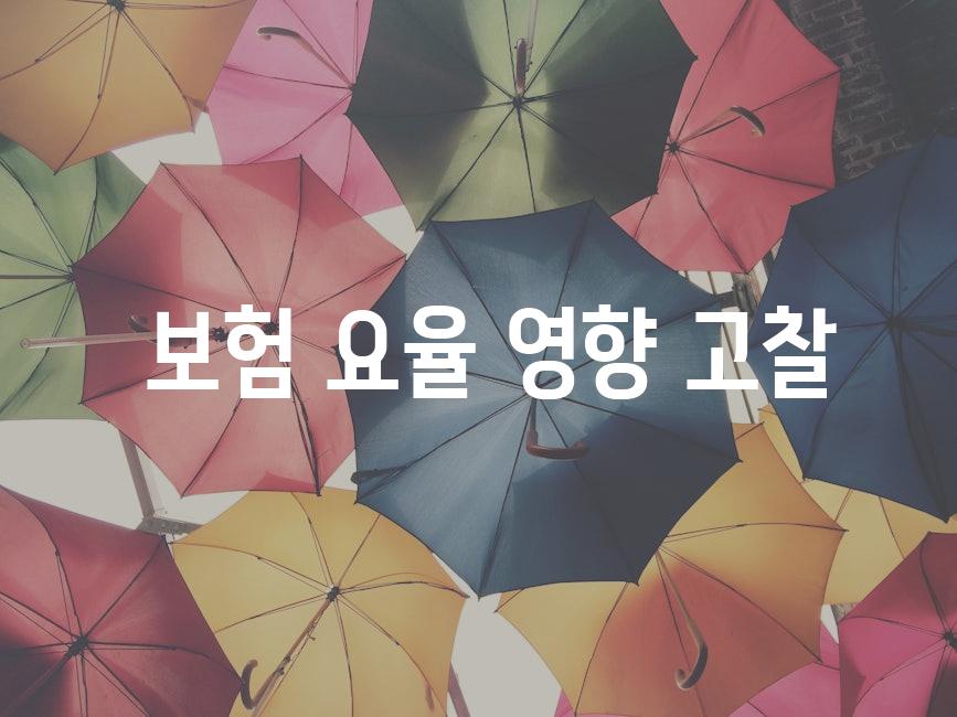  보험 요율 영향 고찰