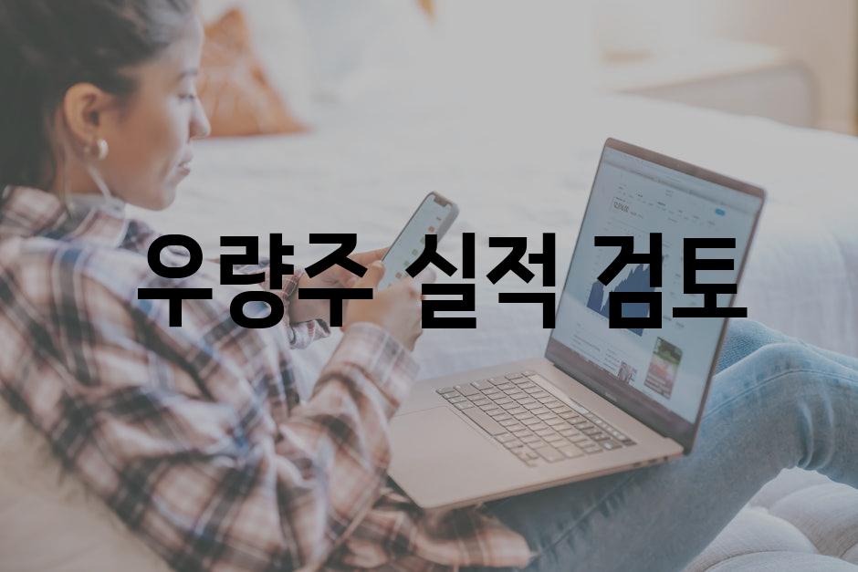  우량주 실적 검토