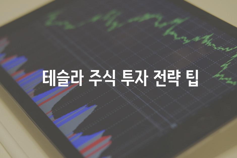  테슬라 주식 투자 전략 팁