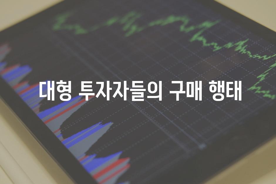  대형 투자자들의 구매 행태