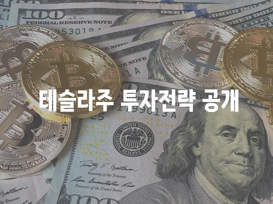  테슬라주 투자전략 공개