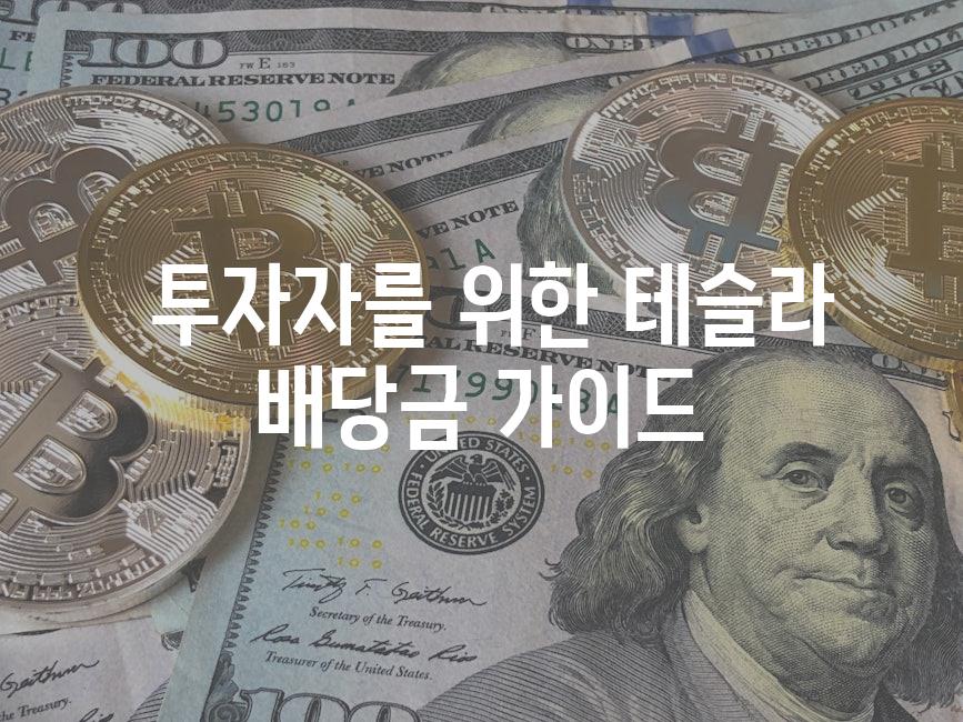  투자자를 위한 테슬라 배당금 가이드