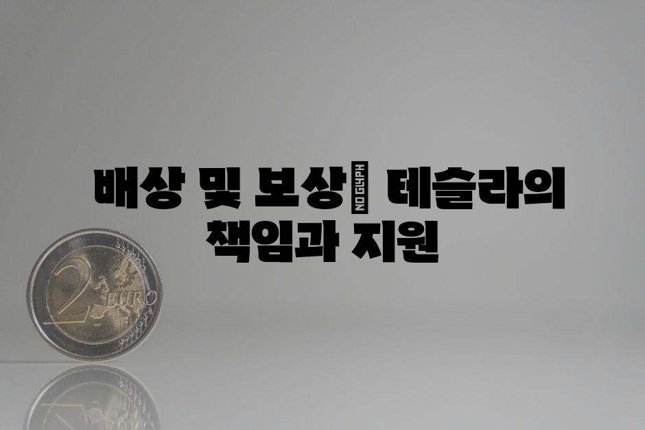  배상 및 보상| 테슬라의 책임과 지원