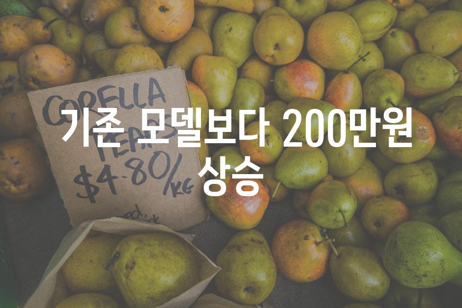  기존 모델보다 200만원 상승