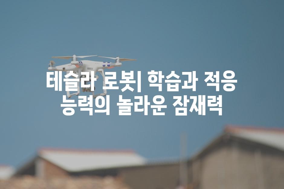 이미지_설명