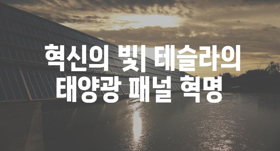  혁신의 빛| 테슬라의 태양광 패널 혁명