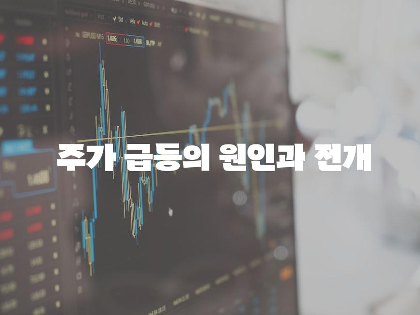  주가 급등의 원인과 전개