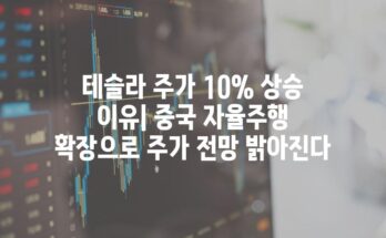 테슬라 주가 10% 상승 이유| 중국 자율주행 확장으로 주가 전망 밝아진다