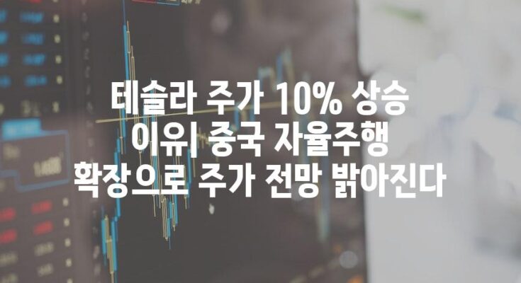 테슬라 주가 10% 상승 이유| 중국 자율주행 확장으로 주가 전망 밝아진다