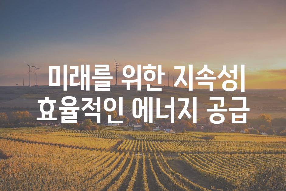  미래를 위한 지속성| 효율적인 에너지 공급