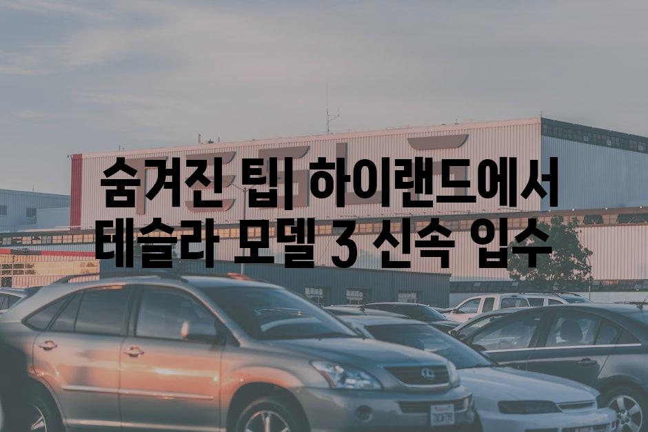  숨겨진 팁| 하이랜드에서 테슬라 모델 3 신속 입수