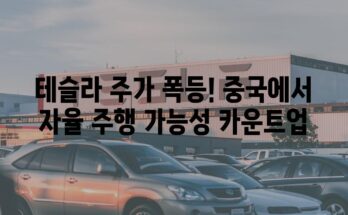 테슬라 주가 폭등! 중국에서 자율 주행 가능성 카운트업