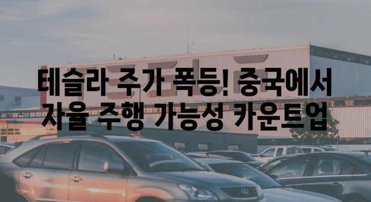 테슬라 주가 폭등! 중국에서 자율 주행 가능성 카운트업