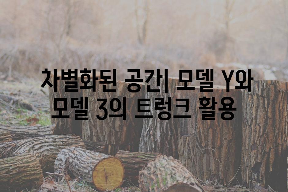  차별화된 공간| 모델 Y와 모델 3의 트렁크 활용