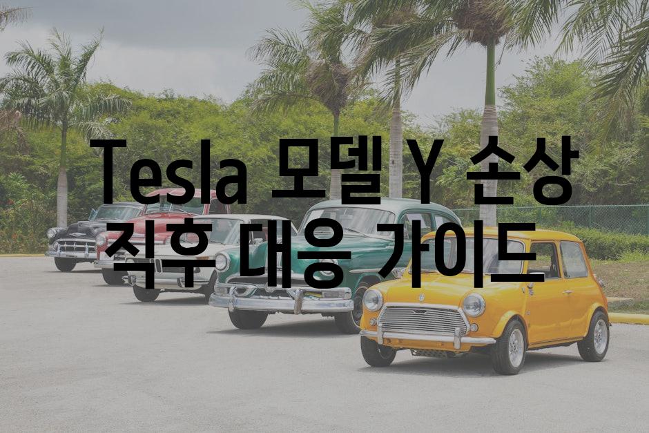  Tesla 모델 Y 손상 직후 대응 가이드